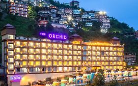 The Orchid Shimla